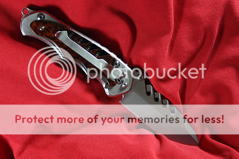 IMG_5058.jpg