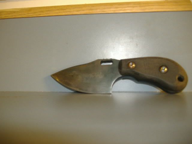 DSCF0597.jpg