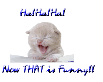 That-Is-Funny.gif