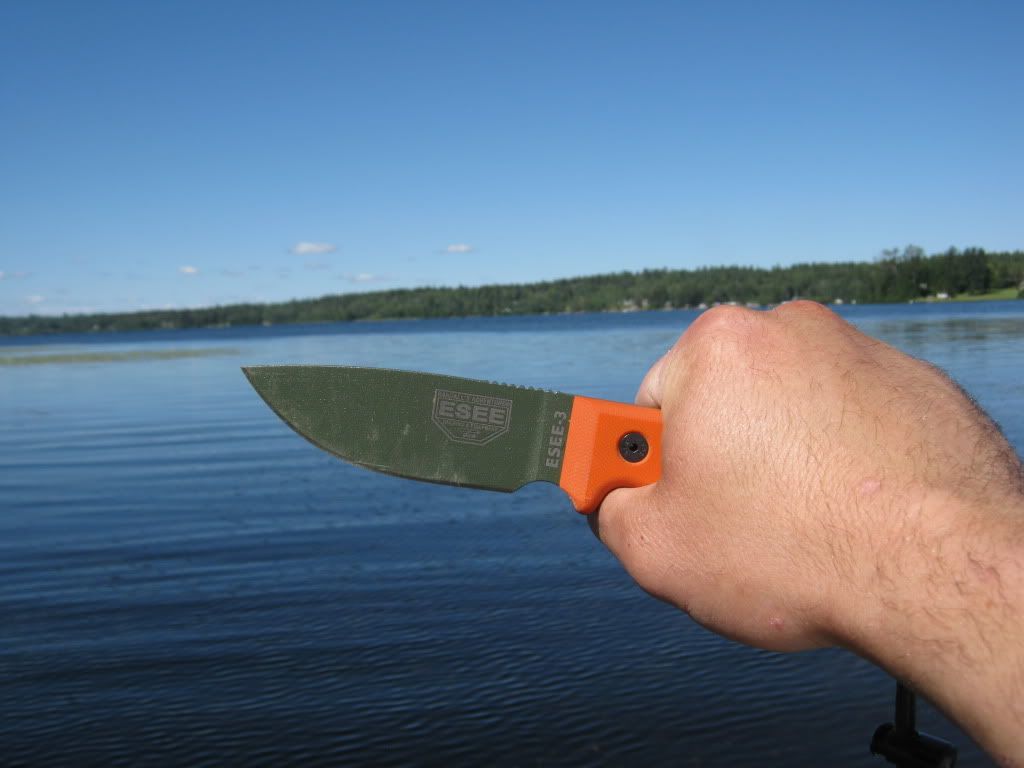 07-08-2010003.jpg