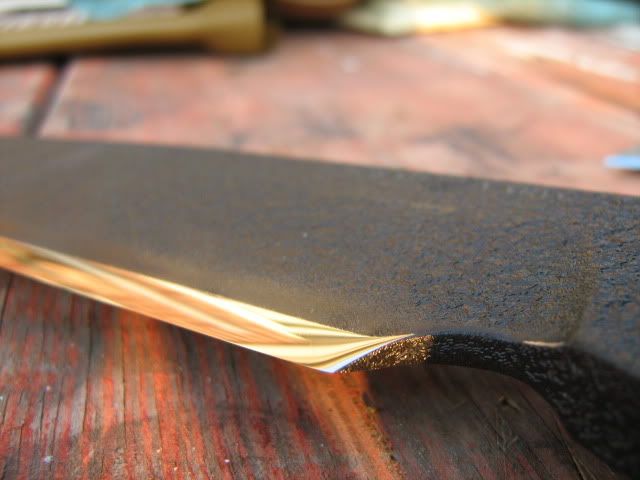 Picture1426.jpg