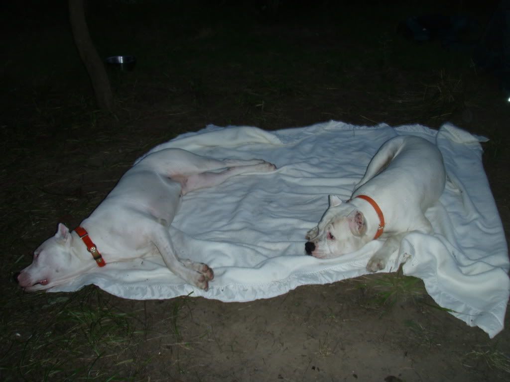 camping056.jpg