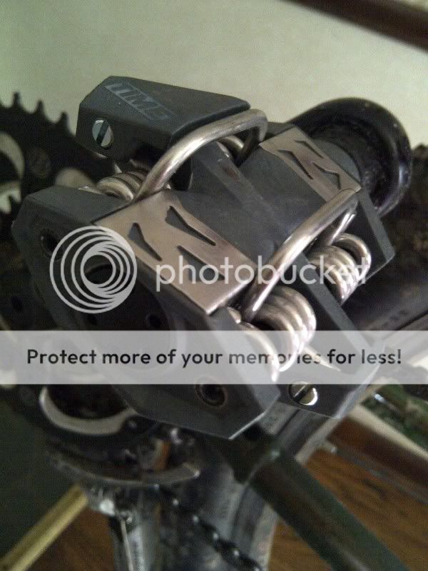 IMG-20110928-00141.jpg