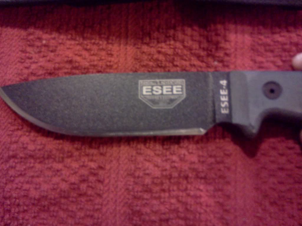ESEE4206.jpg