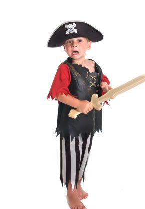pirate-birthday-party-funny-pirates.jpg