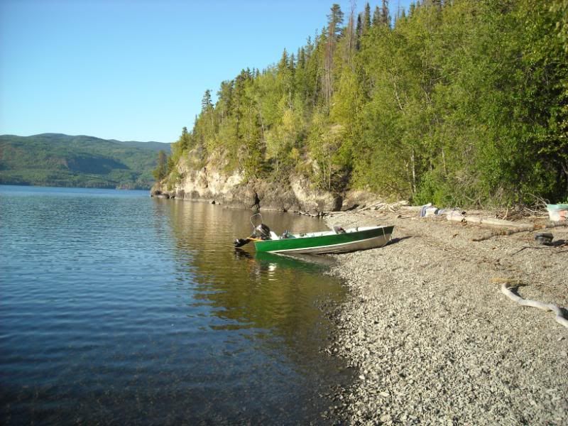 sockeye010.jpg
