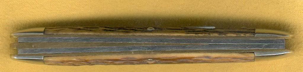 SchradePSWhittlerSpine.jpg