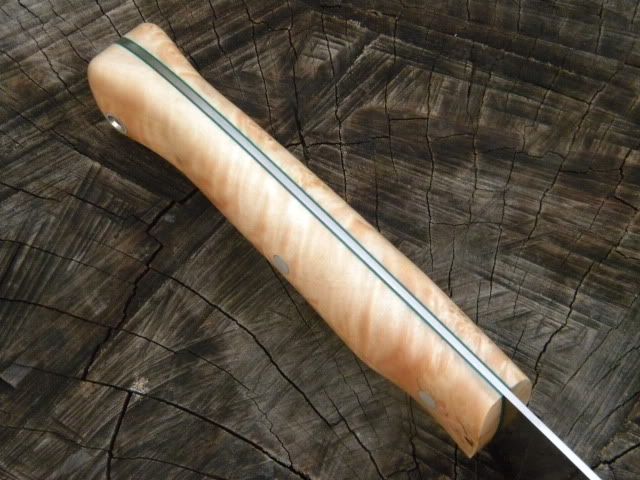 DSCN1850.jpg