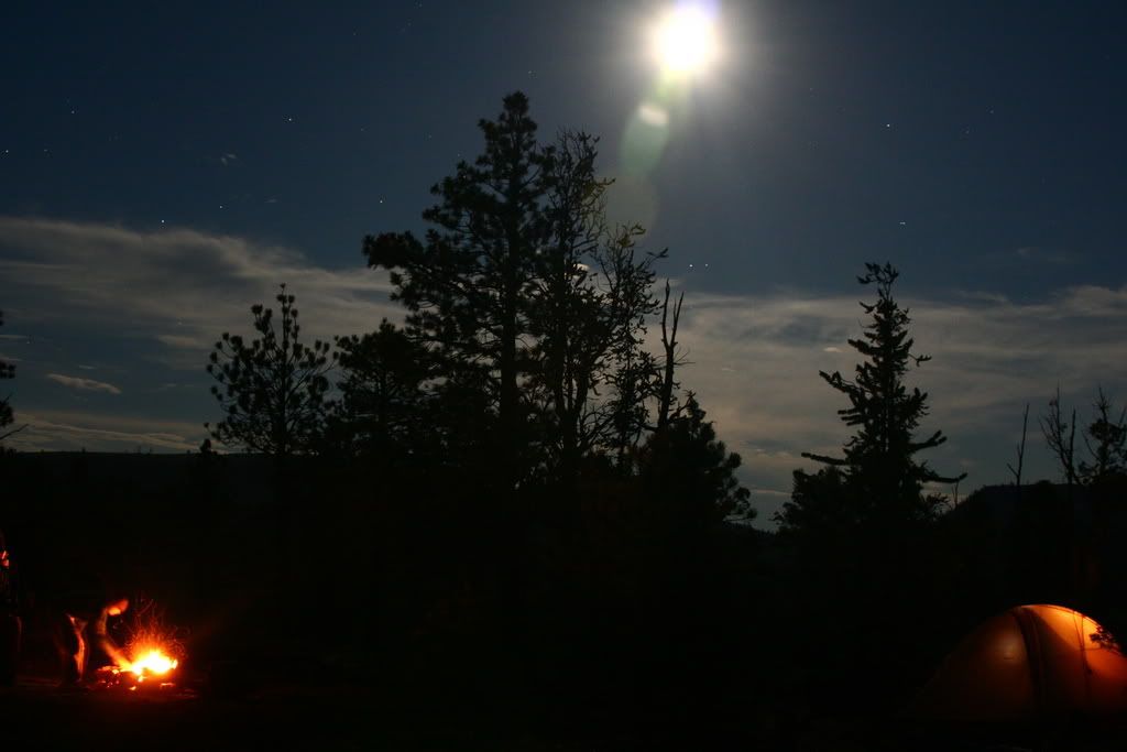 IMG_3017.jpg