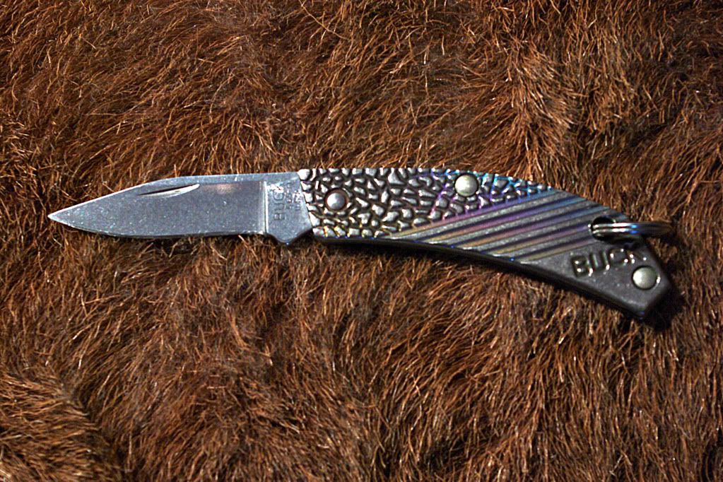Buck565tinyTitanium.jpg