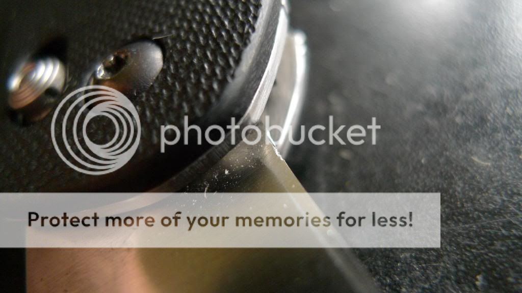 P1200964_zpsbbd5a7f2.jpg