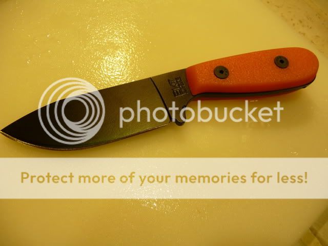 scalepics7.jpg