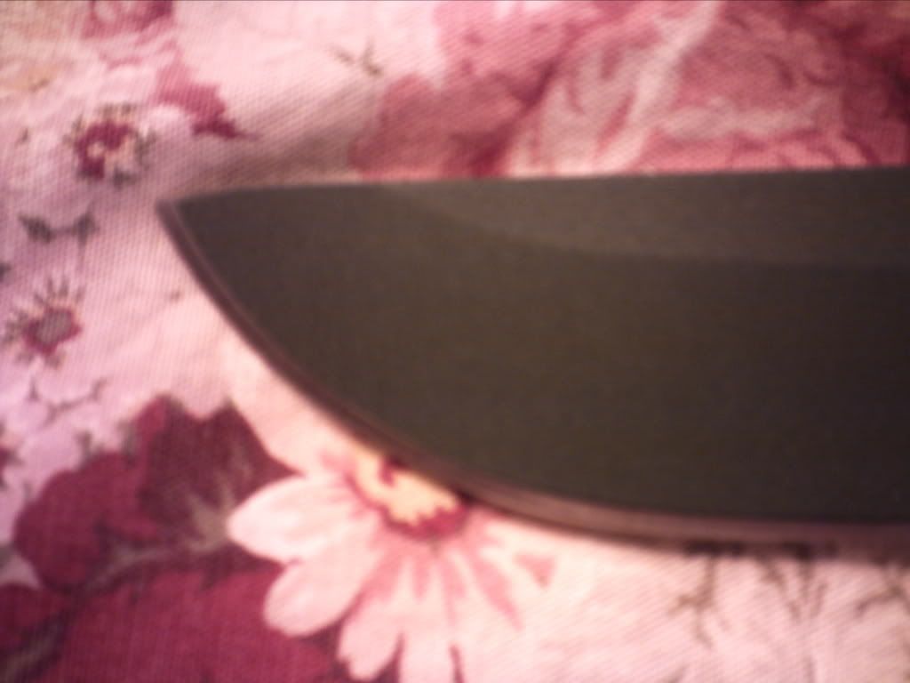 PICT0044.jpg