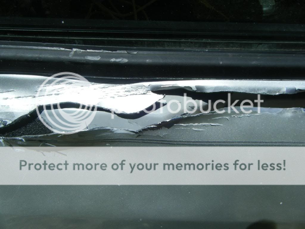 DSCF0909.jpg