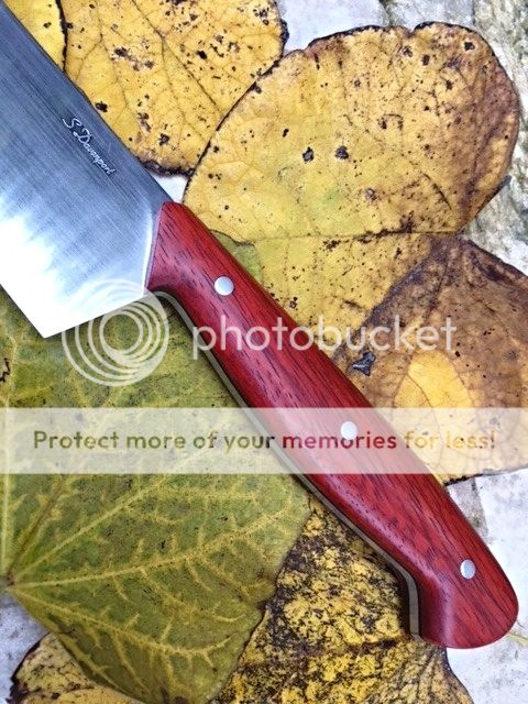 IMG_0465_zpsdmvkd8qq.jpg