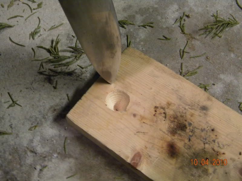 DSCN2909.jpg