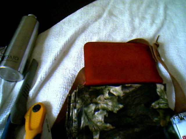 IMG00996.jpg