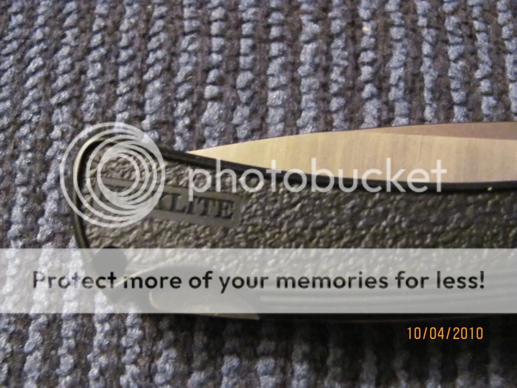2010Bucklite424006.jpg