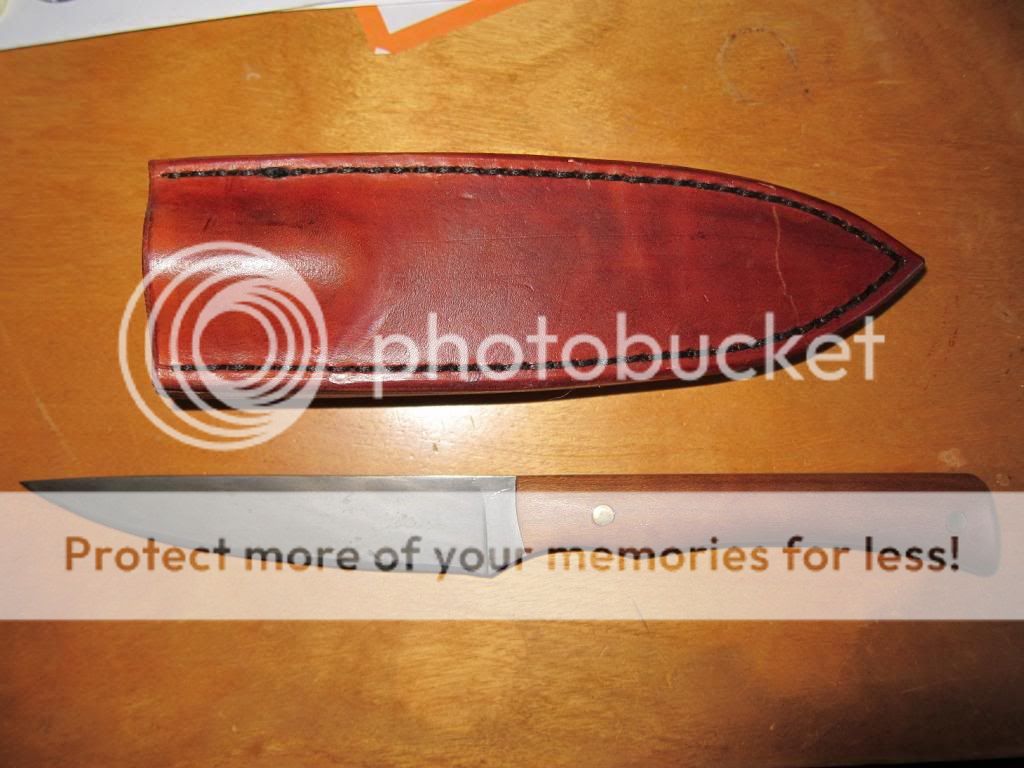 IMG_1438_zpscc11a29f.jpg