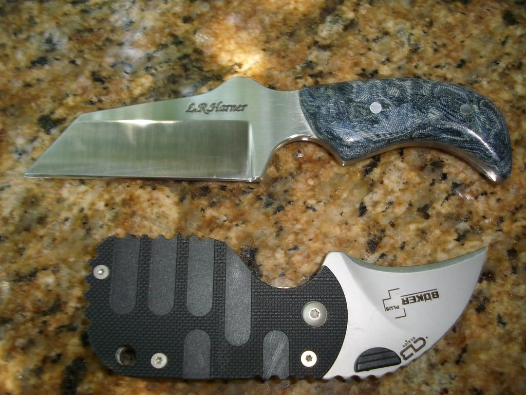 DSCI0140.jpg