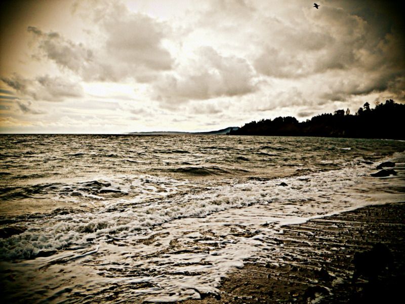 IslandViewWinter2012001.jpg