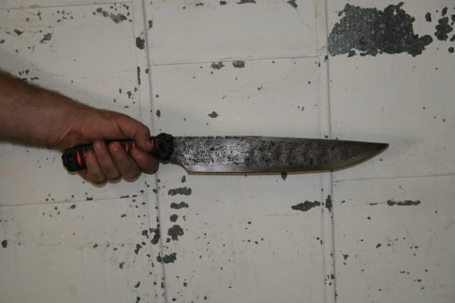 aggression03.jpg