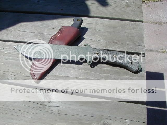 P6030051.jpg
