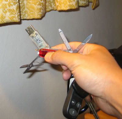 vic2.jpg