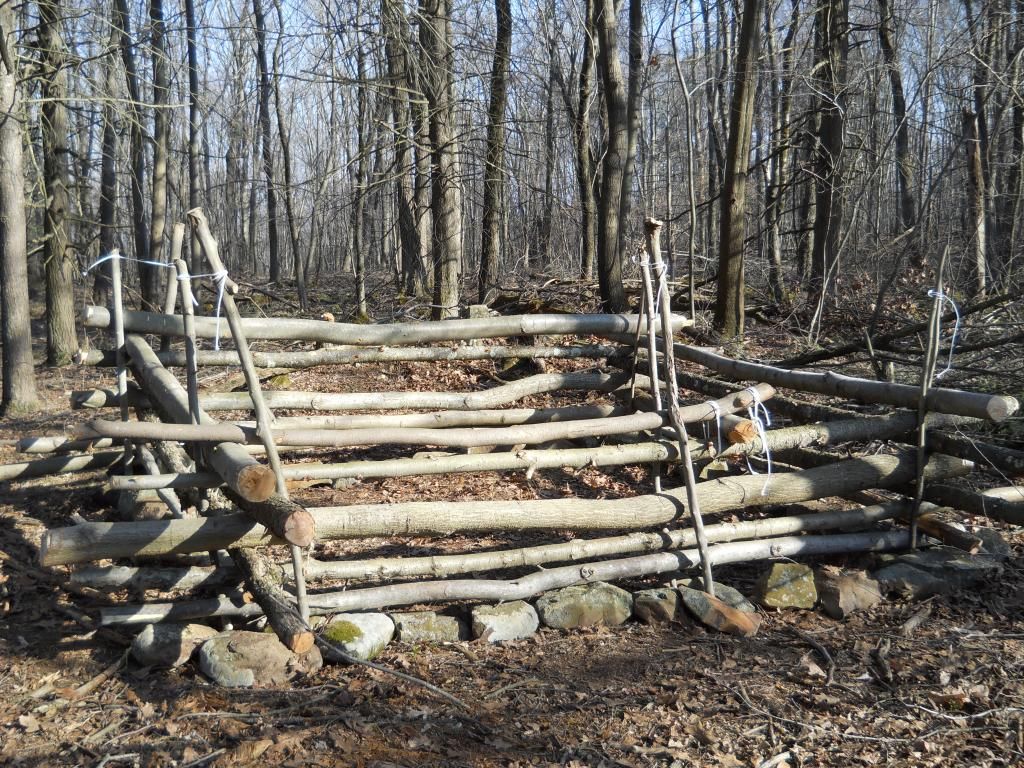 DSCN0172.jpg