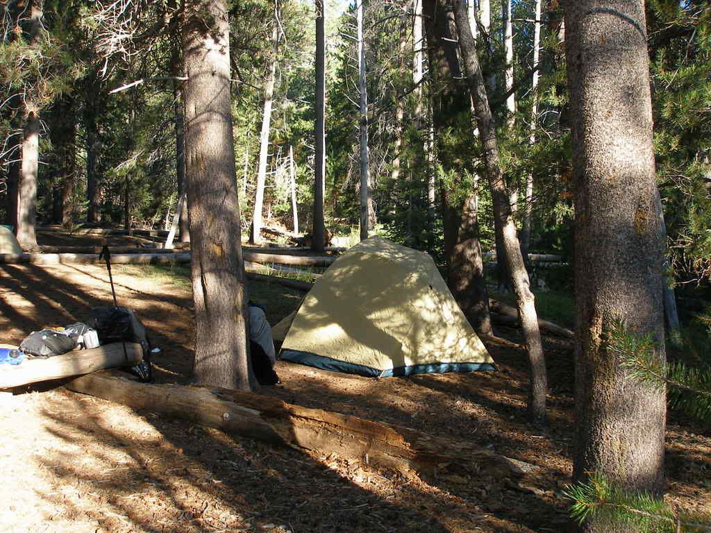 Whitney2006022.jpg