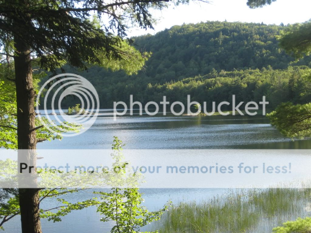 IMG_0024.jpg