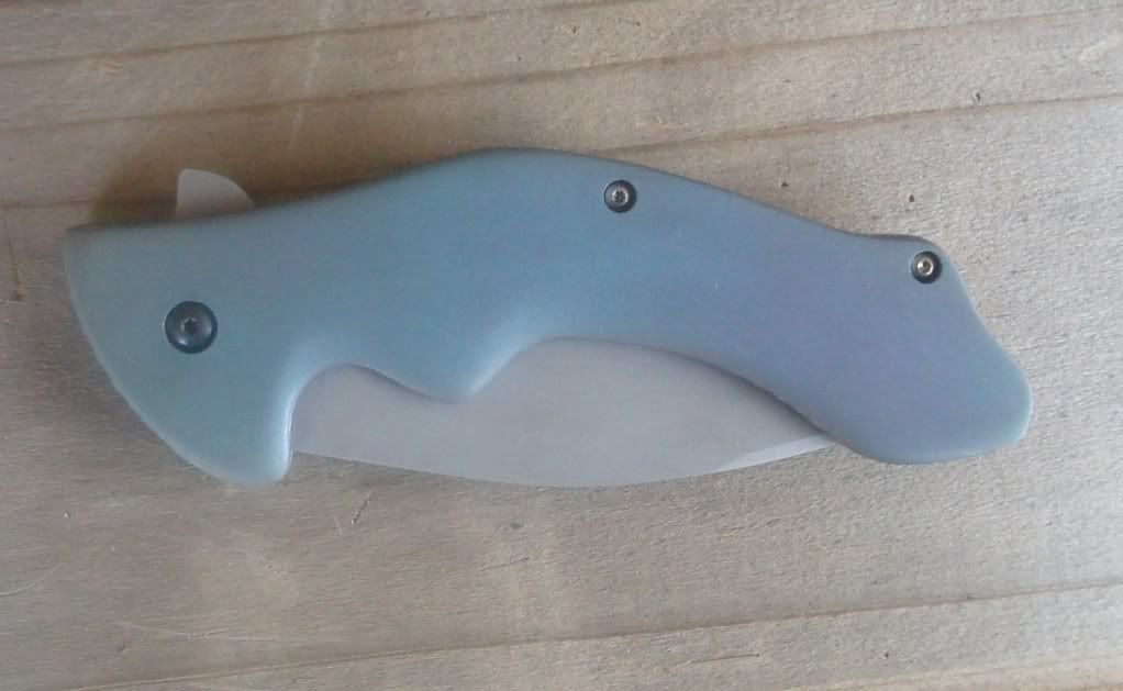 flipper12710022.jpg