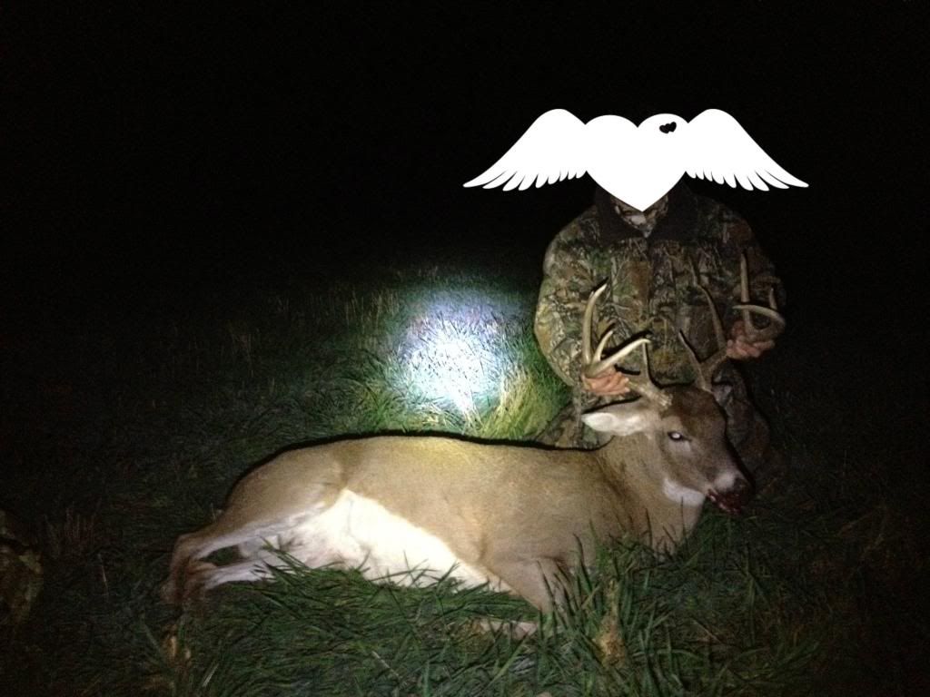 Buck12_3.jpg