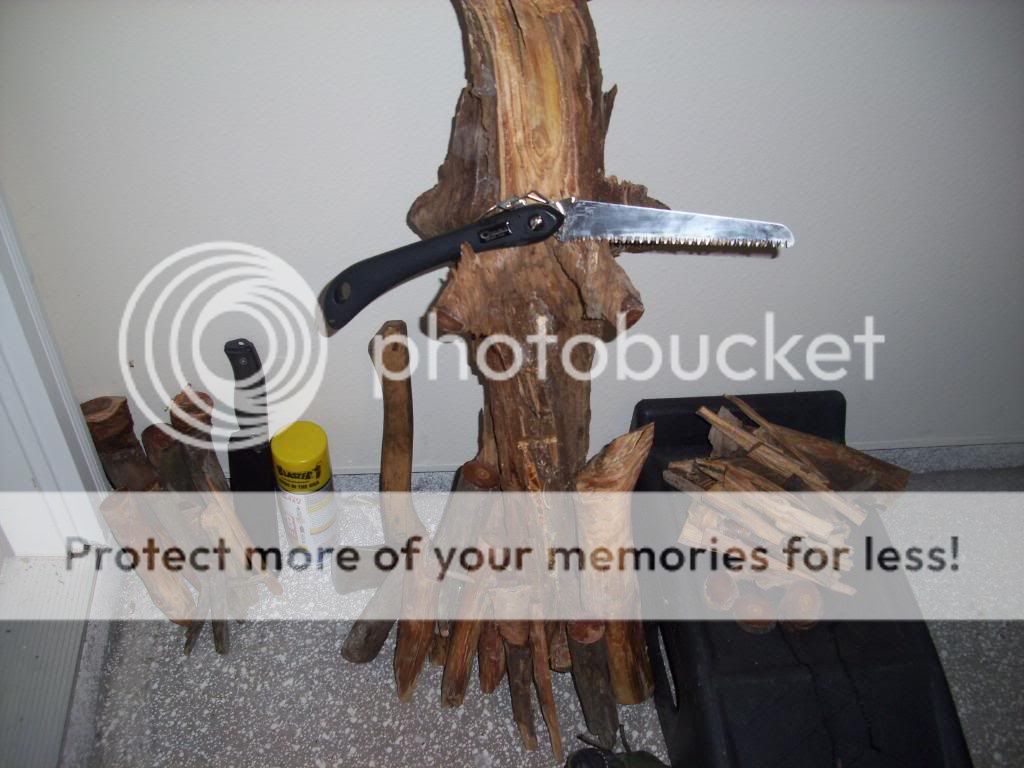 fatwood016.jpg