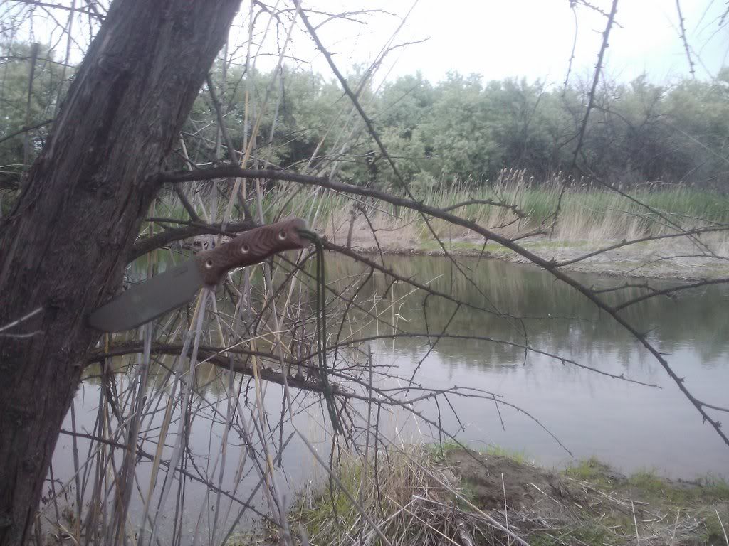 101064908_photobucket_105875_.jpg