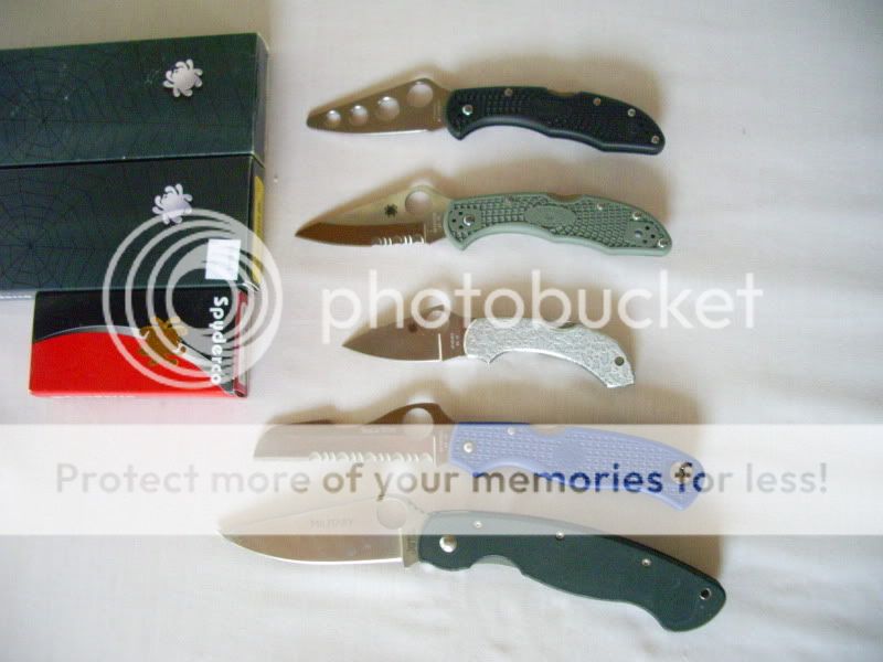IMGP3309.jpg