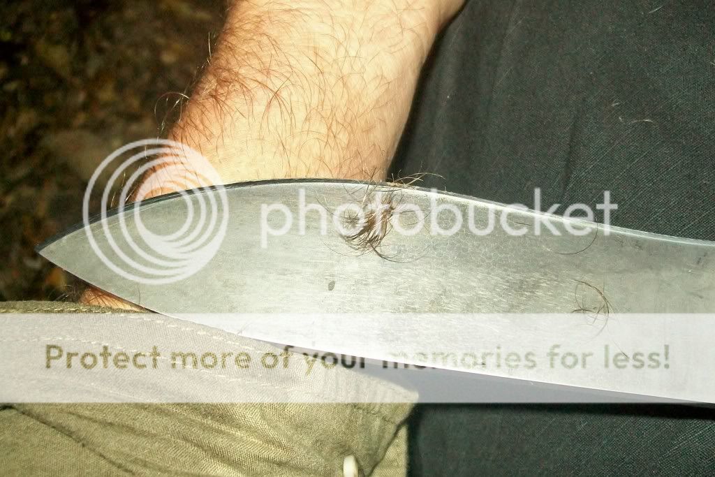 trexshve.jpg