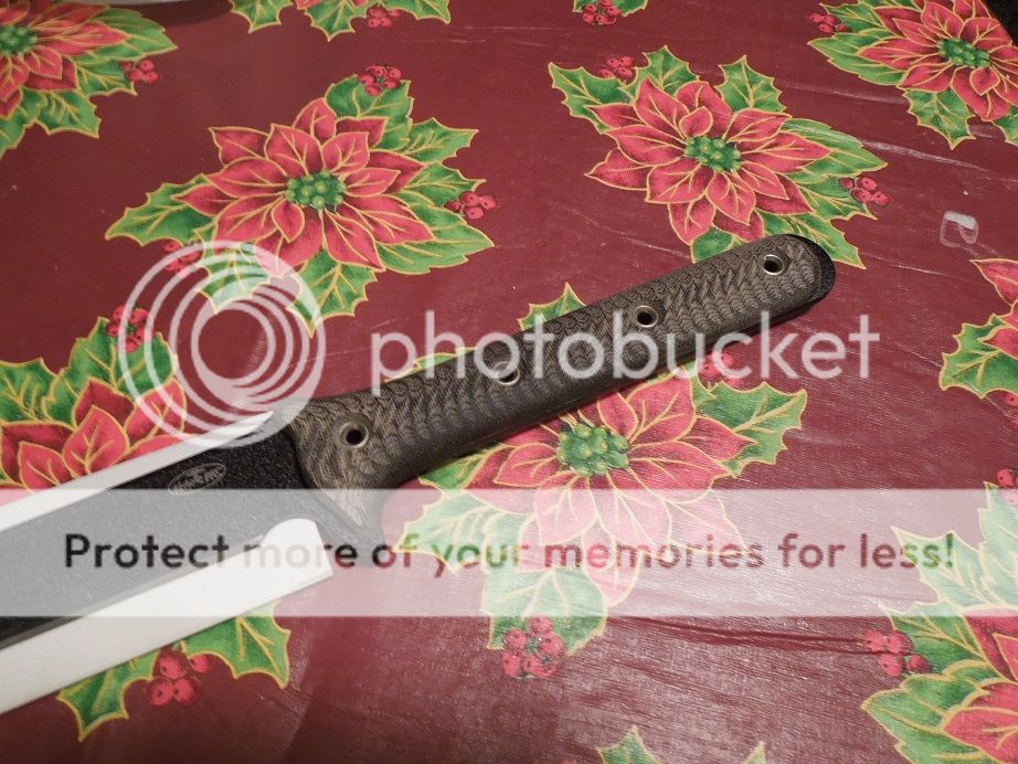 DSCN1227.jpg