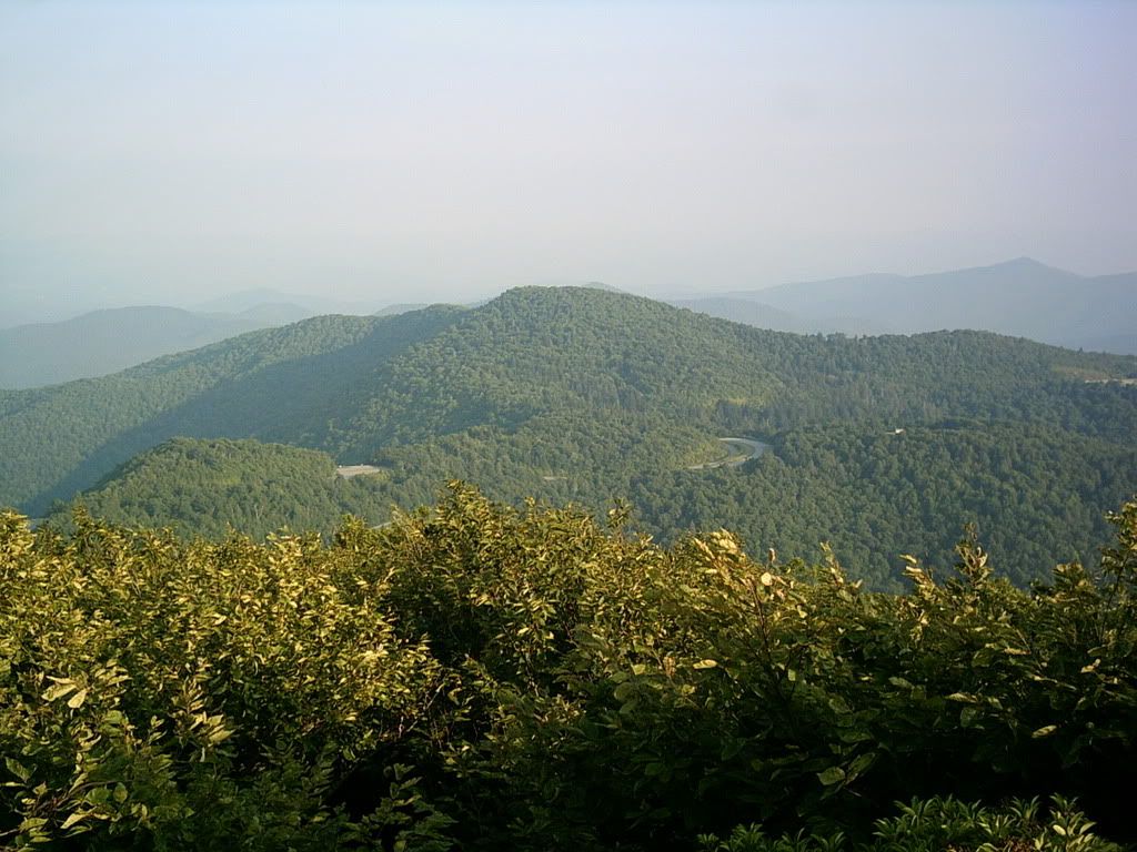 PICT0003-4.jpg