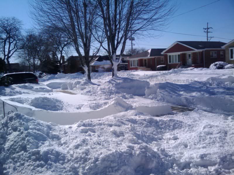 2011-02-03115232.jpg