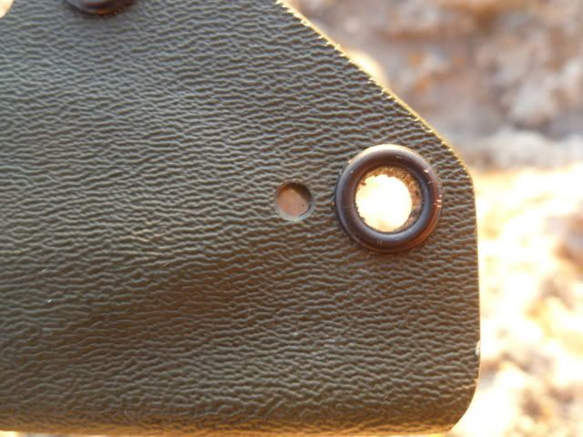 P1020009.jpg