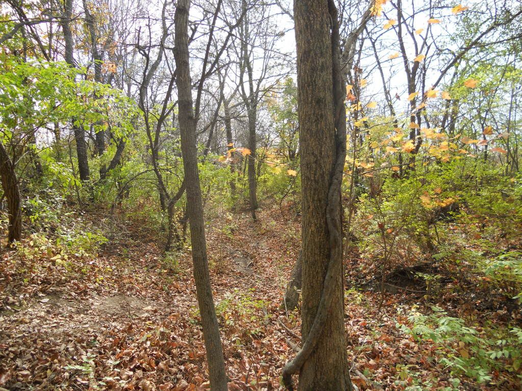 010-7.jpg