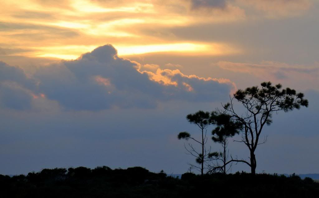 DSC_0205.jpg