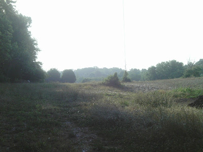 IMAG0168.JPG