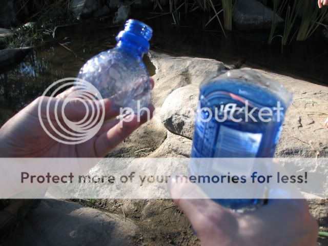 Fishtrap1.jpg