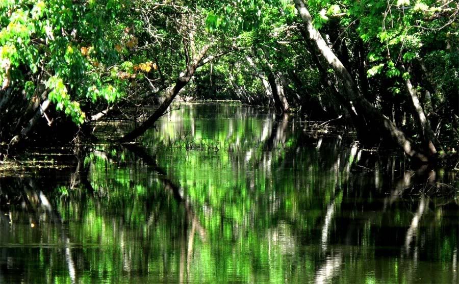 waterway.jpg