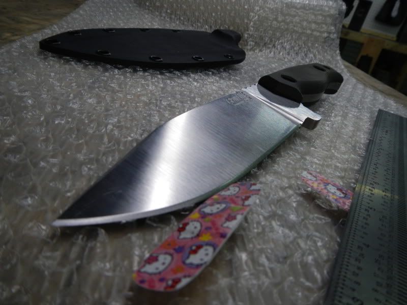 DSCN0218.jpg