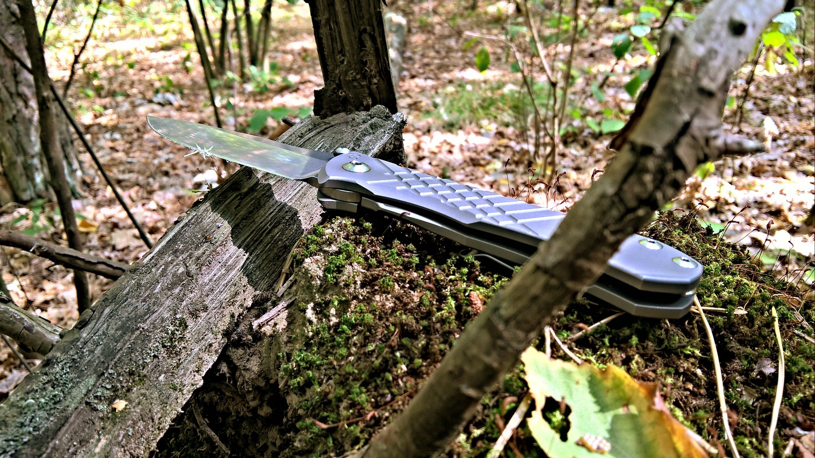 qr4P2nP.jpg
