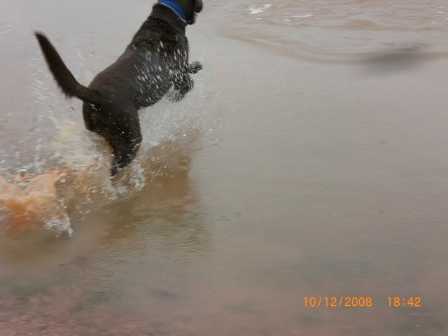 AbileneTripOctober2008221.jpg