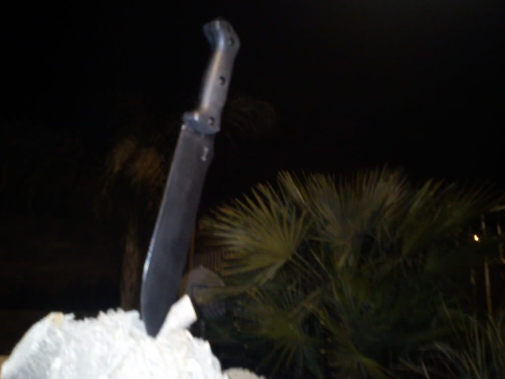 IMG_20120309_211240.jpg